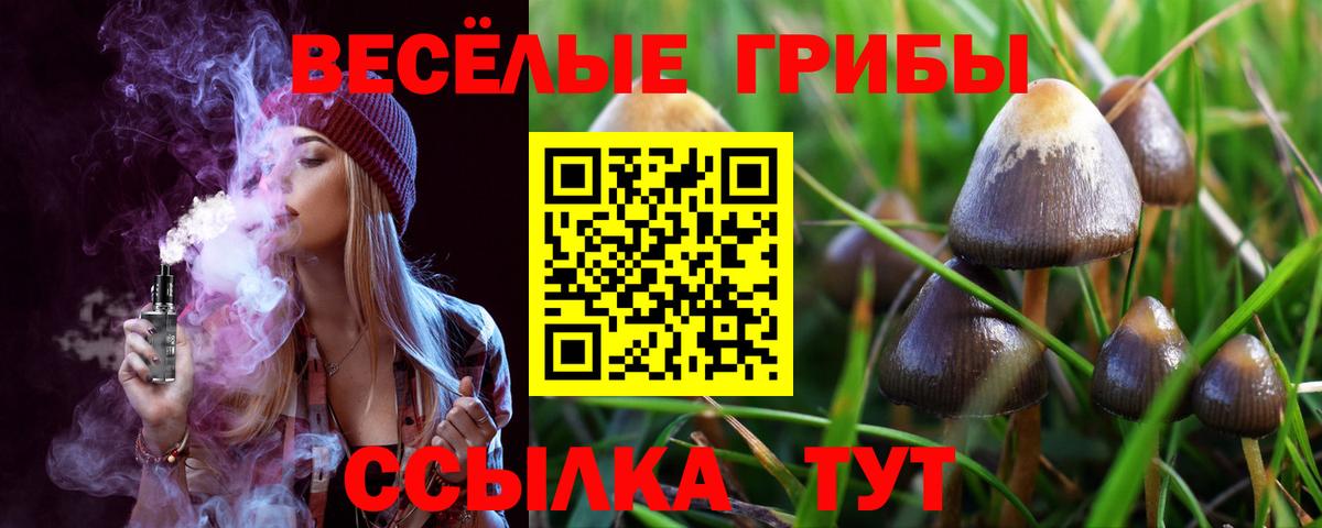 Галлюциногенные грибы Cubensis  Галлюциногенные грибы Psilocybine cubensis  Великие Луки  Вход с VPN 